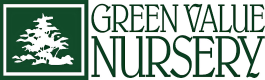 Green Value Nursery Logo