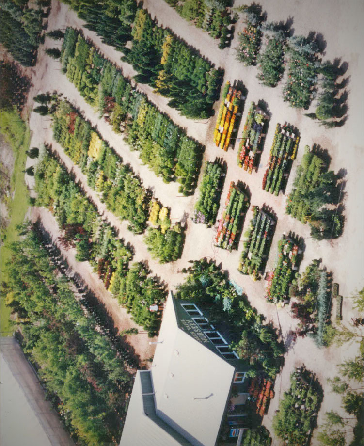 Aerial view of Green Value Nursery